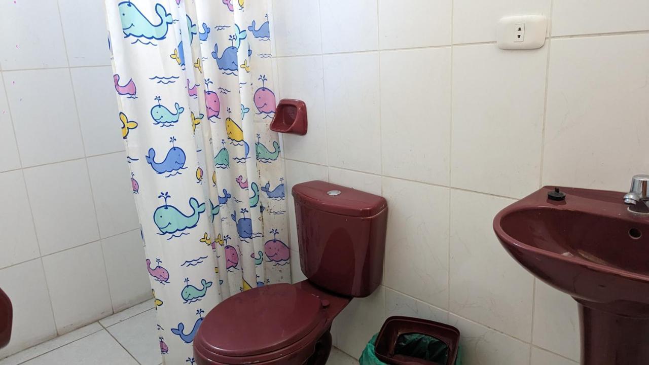 איאקוצ'ו Hospedaje Arequipa מראה חיצוני תמונה
